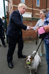 Image 455417301