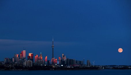 Image 455446796