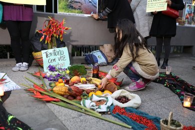 Image 455467578