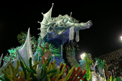 Image 455476470