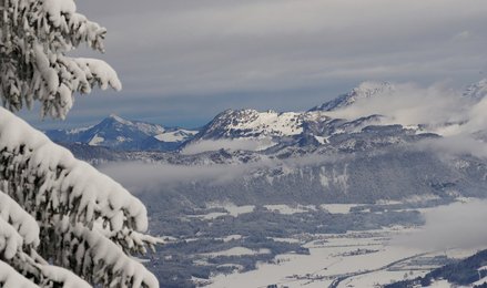 Image 455486813