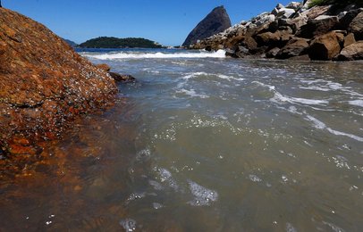 Image 455531754
