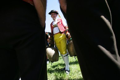 Image 455597538