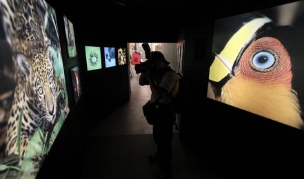 Image 455634858