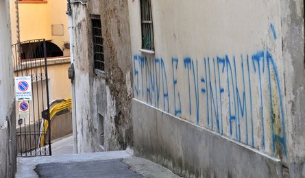 Image 455652516