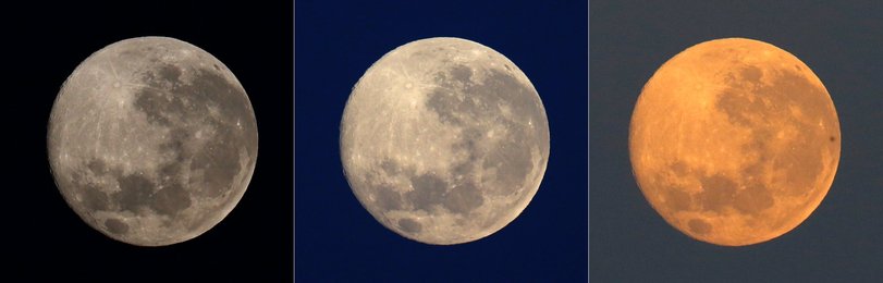 Image 455675393