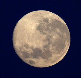 Image 455675406