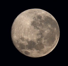 Image 455675411