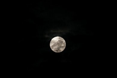 Image 455694572