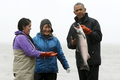 Image 455696257