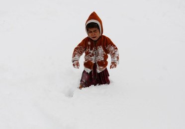 Image 455699889