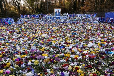 Image 455711525