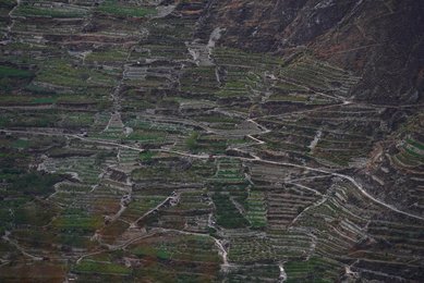 Image 455711561