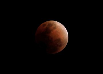 Image 455715650