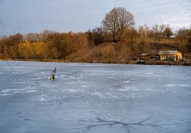 Image 455717926