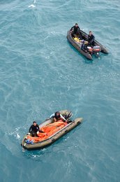 Image 455729345