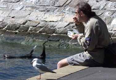 Image 455756372