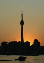 Image 455764434
