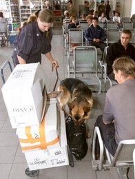 Image 455769147