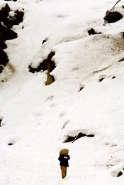 Image 455775702