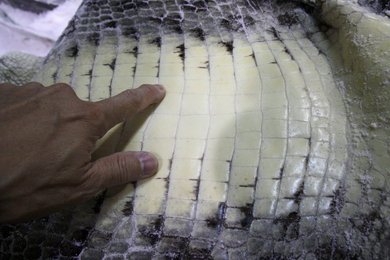 Image 455790912