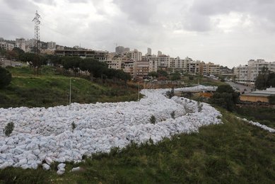 Image 455848409