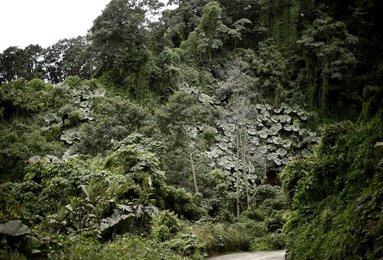 Image 455853127