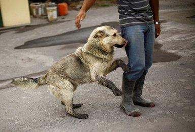 Image 455853128