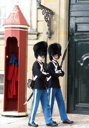Image 455858778