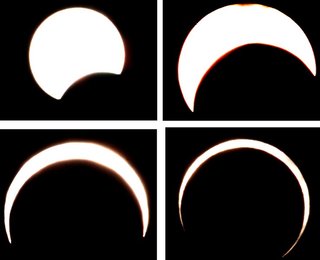 Image 455916497