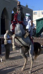 Image 455921848