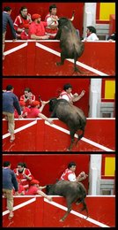 Image 455935986