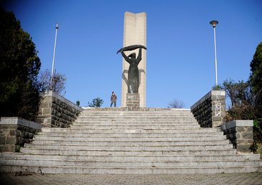 Image 456029019