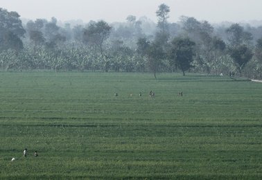 Image 456238264