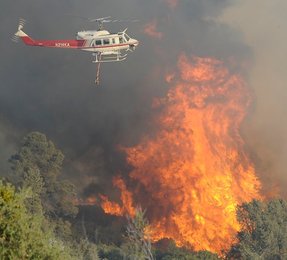 Image 456245182