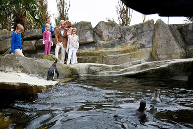 Image 456264645