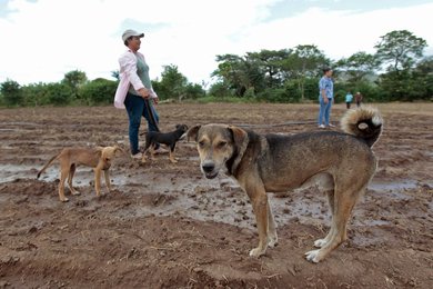 Image 456274112
