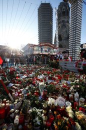 Image 456286061