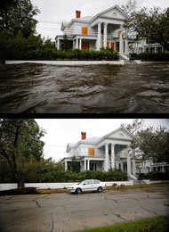 Image 456322058
