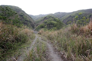 Image 456328833