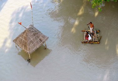 Image 456349954