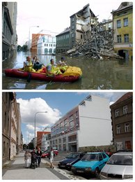 Image 456436215