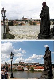 Image 456436218