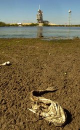 Image 456496297