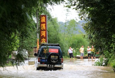 Image 456505632