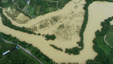 Image 456505686