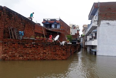 Image 456520341