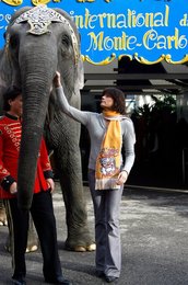 Image 456585739