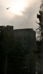 Image 456595695