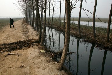 Image 456612862